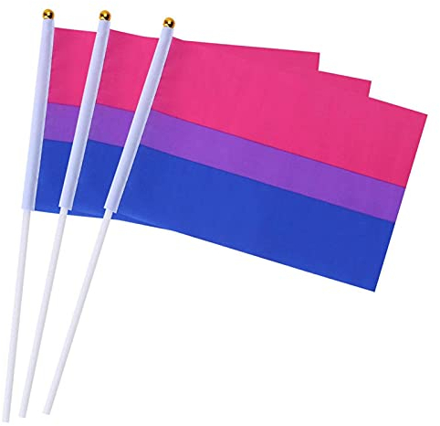 AUTOECHO 10 STÜCKE Gay Pride Flags Small LGBT Rainbow Hand WEH Stick Flags Lesbian Flags Banner für Rainbow Pride Parade Festival Dekorationen