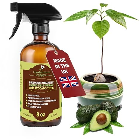 GARDENNOVA Professional Organic Liquid Kelp Spray for Avocado Plants - 8 oz - Ready-to-Use Fully Organic Seaweed & Kelp Fertilizer Mist