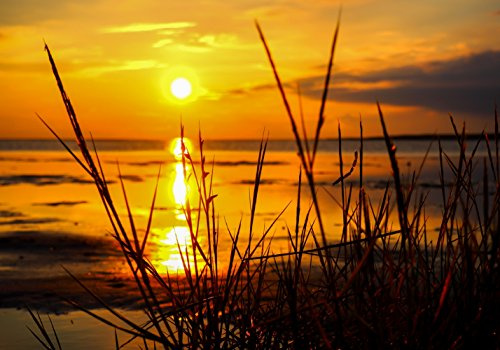 XXL Poster 100 x 70cm (S-848) Blick vom Strand aufs ruhige Meer beim Sonnenuntergang (Lieferung gerollt!)
