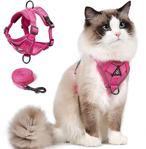 Cat Harness and Leash Set for Kitten,Katzengeschirr mit Leinen-Set, Ausbruchsicher Verstellbare Weste mit Leine für Kätzchen, Weiche Netzjacke mit Reflektierenden Streifen (M, Rosa)