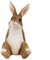 colourliving Hasenfigur Theo | Osterhasen Figuren Hasenbüsten Hasenohren | Deko Hasen für den Garten oder das Haus | Verschiedene Motive (Träumer)