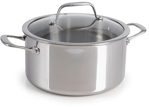 T-Fal Pro dreilagiger Dutch Oven Topf aus Edelstahl, großer Topf mit Deckel, 6 Quart Induktionstopf, ofenfest 250 °C, Deckel 100 °C, schnelle und gleichmäßige Hitze, professionelle Qualität und