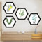 Bilderrahmen Hexagon - Fotorahmen 4pcs, Dekorahmen Wandmontierbare, Nicht Leicht Verformbar, Einfache Installation, Für Die Heimdekoration Und Fotodisplay Verwendet Werden