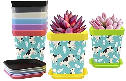 Lot de 8 mini pots de fleurs carrés en plastique avec palette/plateaux, motif vache et bouteille de lait 7 cm