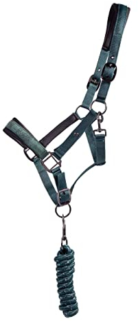 QHP Halfter-Set Astana Halfter + Führstrick gepolstert (Warmblut, dunkelgrün)