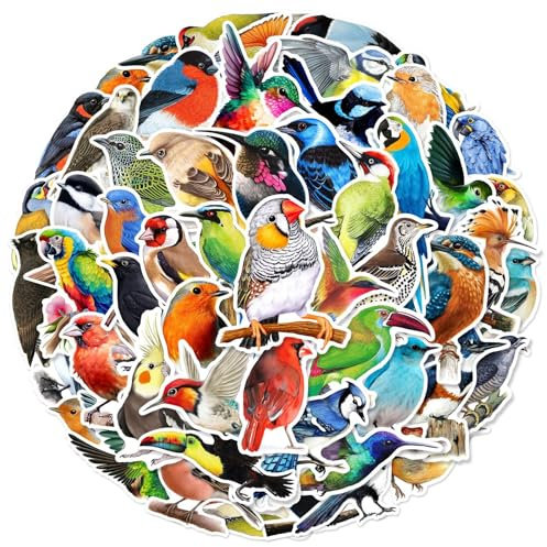 Kleine Vogel Aufkleber Bird Stickers 50 Stück Skateboard Graffiti Aufkleber Motorräder Fahrrad Snowboard Gepäck Laptop Auto Koffer für Kinder und Jugendliche Wasserdichte Vinyl Aufkleber