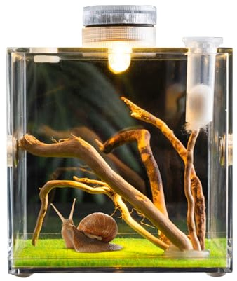 Lebensraum für Reptilien aus Glas: EIN, Verstellbarer Haustierkäfig, Mini-Käfig, großes Spinnenhaus, exotisches Insekten-Terrarium, transparentes Gehege für Eidechsen, Schildkröten E