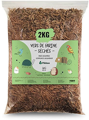 vers de Farine Séchés | 2kg | Insectes Comestibles vers de Farine pour Oiseaux du Ciel Insectes séchés Nourriture Oiseaux Exterieur
