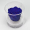 Box Tondo con Rosa Blu stabilizzata Profumata, Box Trasparente da 9cm con Rosa Blu Vera Eterna | Idea Regalo Natale, per lei, Lui, Rose stabilizzate Blu bomboniera | Fatto in Italia (Blu 1041)