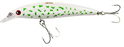 Nasty Bait Dynabite|Wobbler|Raubfisch Angelköder| Länge 10 cm | Gewicht 14g| 3D-Augen| BKK Premium Drillingshaken| UV aktive Modelle|Lauftiefe 0–1,2 m|für Hecht, Barsch, Zander |schwimmend |Floating