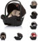 Chipolino i-Size Babyschale Duo Smart Gruppe 0+, Kissen, verstellbare Kopfstütze, Farbe:schwarz
