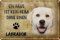 Schild Blech 30x20cm - Made in Germany - Labrador Haus ist kein Heim ohne Metall Deko Schild