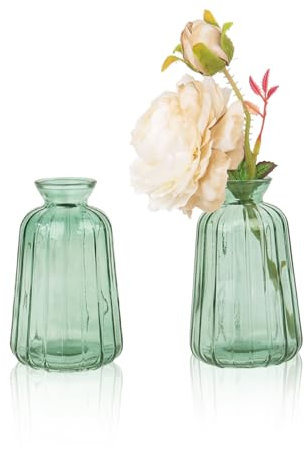 Kleine Glas Vasen Set für Tischdeko Mini Deko Blumenvasen Set Tischvase Set of 2 Hellgrün
