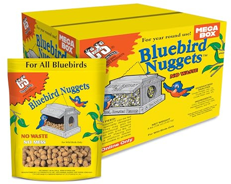 C&S Berry Flavor Suet Nuggets, Bird Suet for Woodpeckers, 8Lb, 1Ct