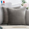 Douceur De Plumes 2er Set dekorativen Kissenbezügen aus grauem Samt, 40x40 cm, glatt, moderner rechteckiger Kissenbezug, skandinavisches Wohnzimmer Dekor Maussofa Schlafzimmer Bett (2 Grau)