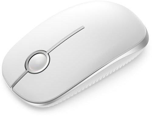 seenda Maus Kabellos, 2,4G Funkmaus mit 1600 DPI für PC/Laptop/MacBook/Linux, 3 Leise Tasten, Für Links- und Rechtshänder, 18 Monate Akkulaufzeit(Weiß und Silber)