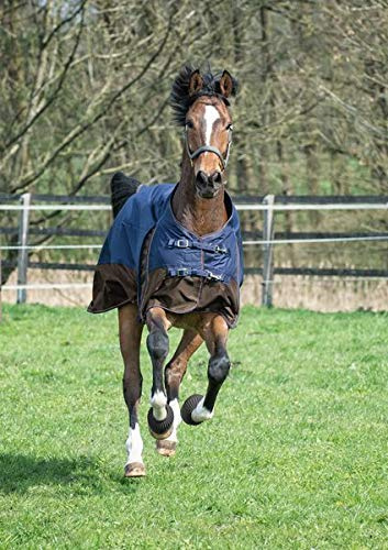EQuest medium Outdoordecke Turnout Kingston 100g/m² Füllung, 600D in Navy/Mocca, Größe:XL (155cm)