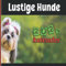 Lustige Hunde Kalender 2023: Lustiges Geschenk für Hundeliebhaber | Kalender 2023 Lustiger Tiere | Haustier für hundebesitzer und Tierliebhaber | ... für Weihnachten, Neujahr, Geburtstag ...