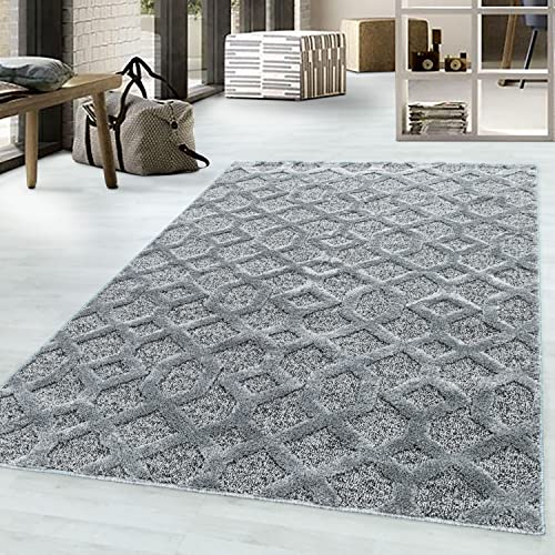 Morhane Pisa Web Teppich hochflor rechteckig 120x170cm grau