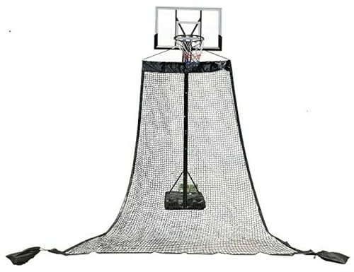 Pegasi Net de Retour de Basket-Ball de