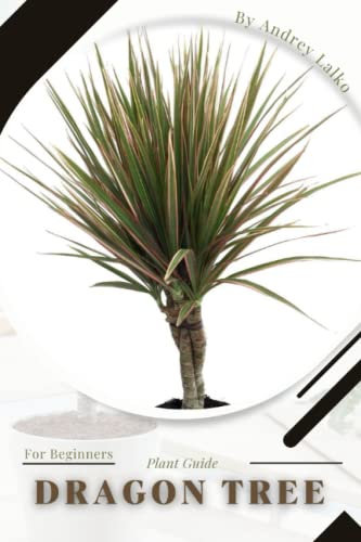 Dragon Tree: Plant Guide