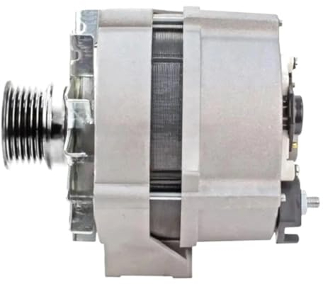 laiyonggr AUTO-Lichtmaschine kompatibel for Mercedes 300TE W124 W202 W208 LKW 0120469897 0120469927 0120469928 0120469943 0120469946 0120469947