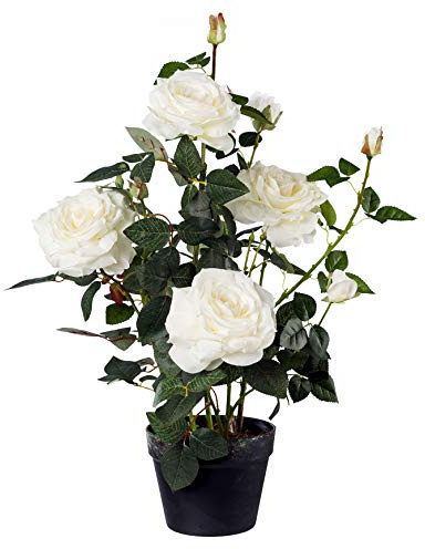 Gasper Kunstpflanze Rosenstock im Kunststofftopf, Farbe: Weiß, in der Höhe: 68 cm, 3019010-40