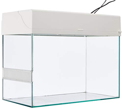 Lucky Reptile Starter Kit Schlange, Farbe:Weiß, Terrarienmaße (B/T/H):50 x 28 x 40 cm