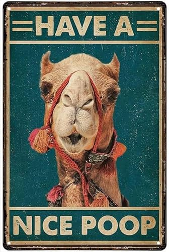 Bonoff Poster, Metallschild, Motiv Camel Have A Nice Poop 20,3 x 15,2 cm, Vintage-Dekoration