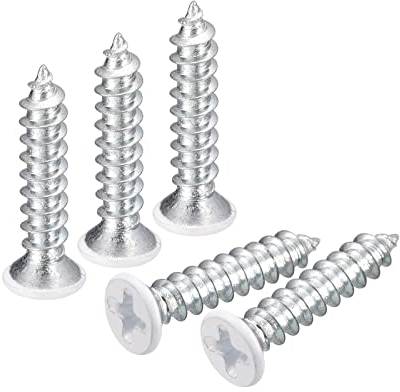 QUARKZMAN ST4x20mm Blanc Vis Autotaraudeuse, 10pcs Plat Tête Phillips Bois Vis pour Travail Bois