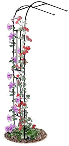 Arche demi-latérale Arceau à Rosiers – Grande arche de jardin murale en acier robuste, décoration d'arche de mariage pour pelouse, jardin, patio, pergola, treillis, vignes, arche de vigne(Size:150x240