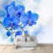Papier Peint Panoramique Orchidée Papier Peint Intissé 400 x 280 cm Fleurs Bleues Photo Papier Peint Effet 3D Poster pour Chambre Salon Décoration Murale B1415