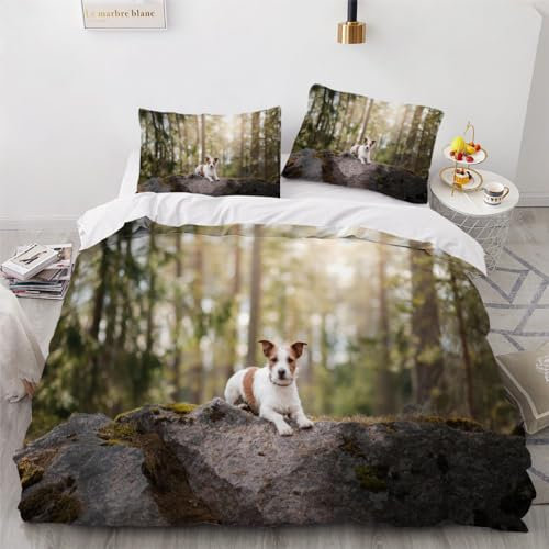 Bettwäsche 135x200 Jack Russell Terrier Bettbezug mit ReißVerschluss Kinder Bettwäsche Set mit Kissenbezug 80x80 Weich Leicht Mikrofaser 3D Motiv Haustier Hund Bettbezüge Pour Jungen Mädchen
