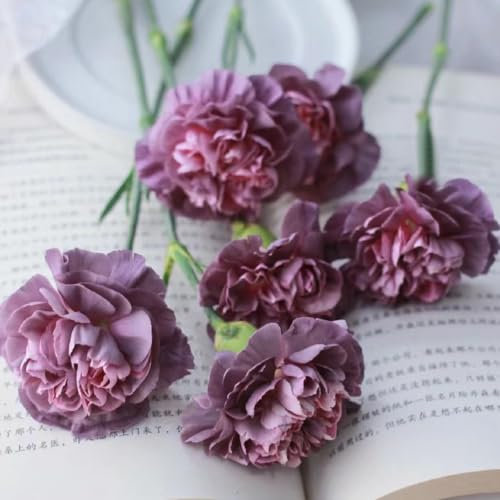 600 pcs nelken samen winterhart mehrjährig, Dianthus, blumen pflanzen, ostergeschenke bartnelken samen winterhart blumen samen mehrjährige, kübelpflanzen blumensaat, balkonpflanzen
