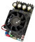 DIGNIFE Verstärker, 2 * 300W TPA3255 Stereo Digital Verstärker Bord High Power BTL Mono 600W Audio Sound AMP Subwoofer HiFi for Lautsprecher
