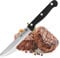 FMprofessional Steakmesser/Pizzamesser, Jausenmesser mit 11cm Edelstahlklinge – hochwertiges Messer mit ergonomischem Griff – Menge: 1 Stück