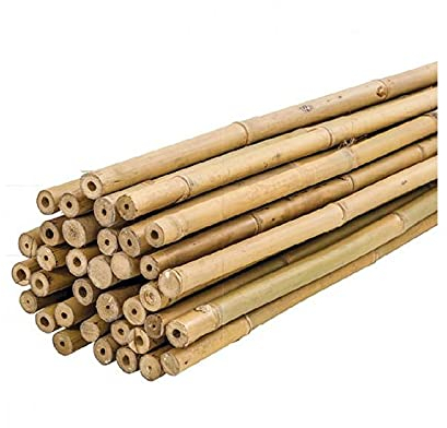 PLANTAWA Tutores de Bambú 210 cm Paquete 25 Unidades Ø 16-18 mm | Tutores Plantas para Entutorar Tomates y Plantas | Cañas para Plantas con Variedad de Tamaños. Cañas de Bambu Resistentes.
