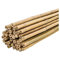 PLANTAWA Tutores de Bambú 210 cm Paquete 25 Unidades Ø 16-18 mm | Tutores Plantas para Entutorar Tomates y Plantas | Cañas para Plantas con Variedad de Tamaños. Cañas de Bambu Resistentes.