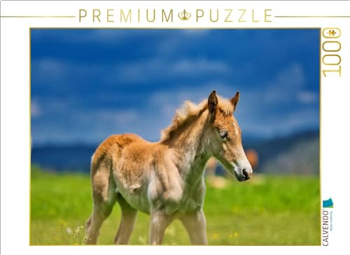 Puzzle · Haflinger Fohlen | 1000 Teile · Lege-Größe 64 × 48 cm · CALVENDO Puzzle