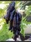 weintrauben pflanzen kernlos winterhart süße, Weinreben pflanzen, wein pflanze winterhart, trauben pflanzen, trauben kernlos pflanzen winterhart-5 Weinreben pflanzen-J