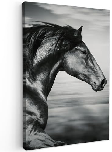 MuchoWow© Leinwandbild Klein 20x30 cm Mini Dekoration Wohnzimmer Bilder Aufhängen Wall Decoration Living Room Wohnungs Deko Moderne Schwarzweiss - Weiss - Pferd - Tiere - Bild Schwarz und Weiß