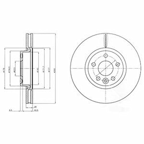 DELPHI 2x Bremsscheibe Vorne Ø300mm Höhe: 52mm Dicke: 28mm Belüftet BG4094C
