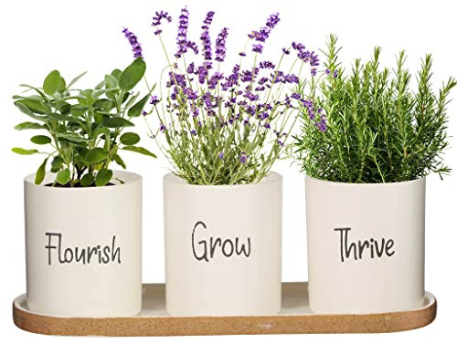 Dibor Indoor Herb Garden Planter Set Windowbox Flower Pots on Tray Summer Wedding Anniversary Gardening Gift (BX05)