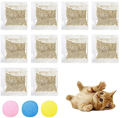 Herbe À Chat Seche, Herbe A Chat Séchée, Menthe, Cataire Naturelle, Kit Cataire, Menthe, 10g À Catnip, Jouet Balles
