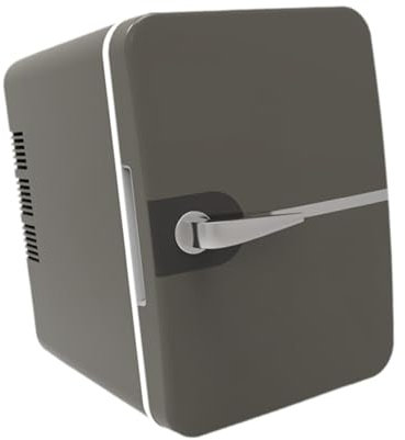 DimyFew Mini Frigo de Chambre, Élégant et Efficace, Rafraîchisseur Portable 6L/8 Canettes, GRIS