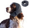 KASESSS Snood Chien, Cache Oreille Chien, Snood Cocker, Tour de Cou et Oreilles pour Chien, Cache-Oreilles Apaisants pour Chien pour Protection Contre Le Bruit, Bandeau pour Soulager l'Anxiété