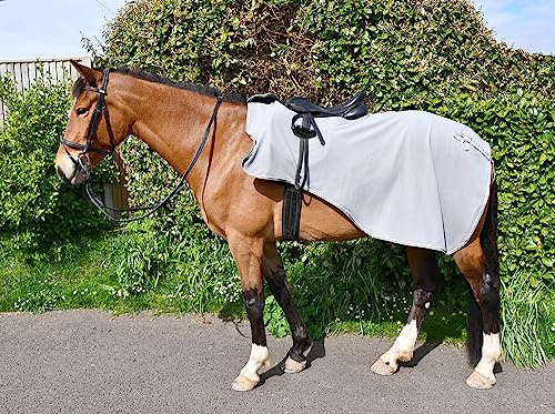 nuLOOM Rhinegold Aufsitzteppich, Bestickt, Grau