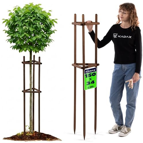 KADAX Baumstütze 150 cm aus robustem Holz, Baumpfahl zur sicheren Fixierung junger Bäume & Sträucher, dreibeinige Pflanzenstütze aus Buchenholz für Garten