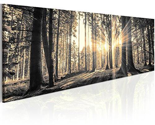 murando - Impression sur Verre Paysage 120x40 cm 1 Partie - Imprimée Tableau Photo Image Pret a Accrocher Murale Moderne Décoration -Forêt en Noir et Blanc avec Lumière Naturelle c-B-0077-k-c