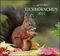 ... geliebte Eichhörnchen 2022 - DUMONT Wandkalender - mit den wichtigsten Feiertagen - Format 38,0 x 35,5 cm